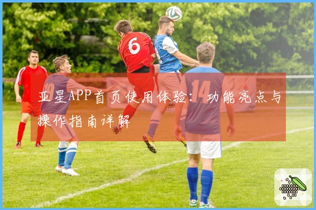 亚星APP首页使用体验：功能亮点与操作指南详解