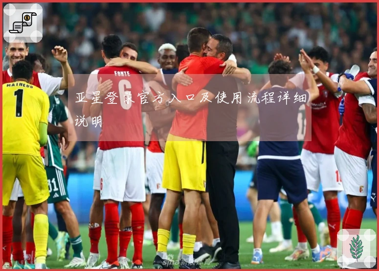 亚星登录官方入口及使用流程详细说明