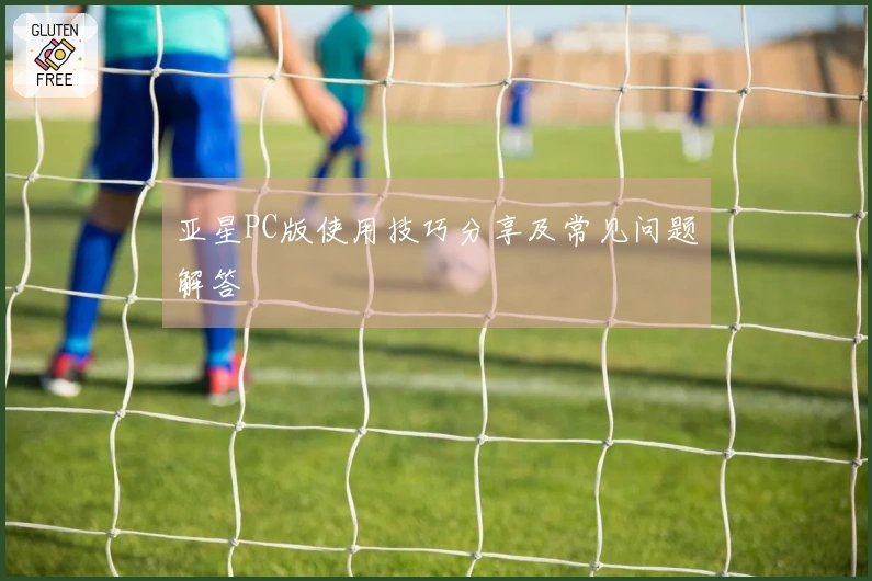 亚星PC版使用技巧分享及常见问题解答