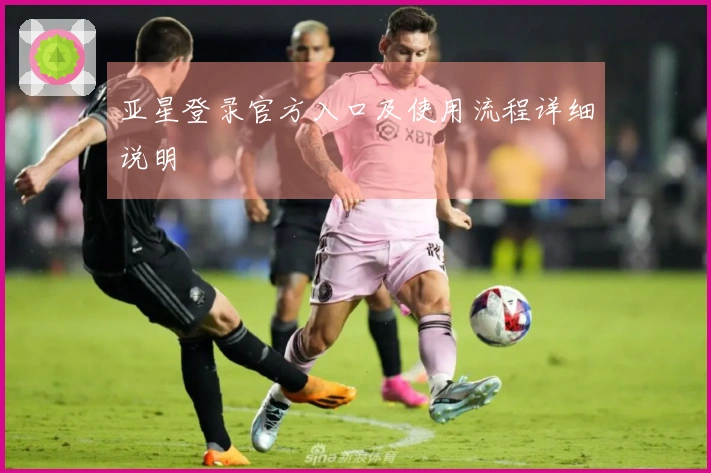 亚星登录官方入口及使用流程详细说明